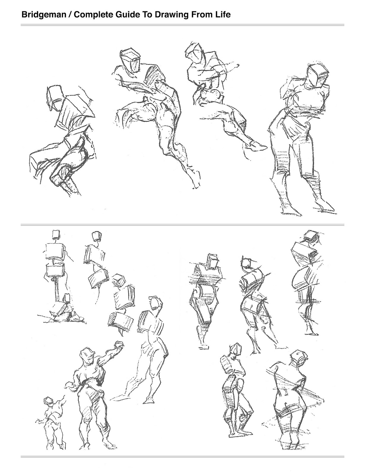 1237x1600 The Expressive Torso Drawing Seeing