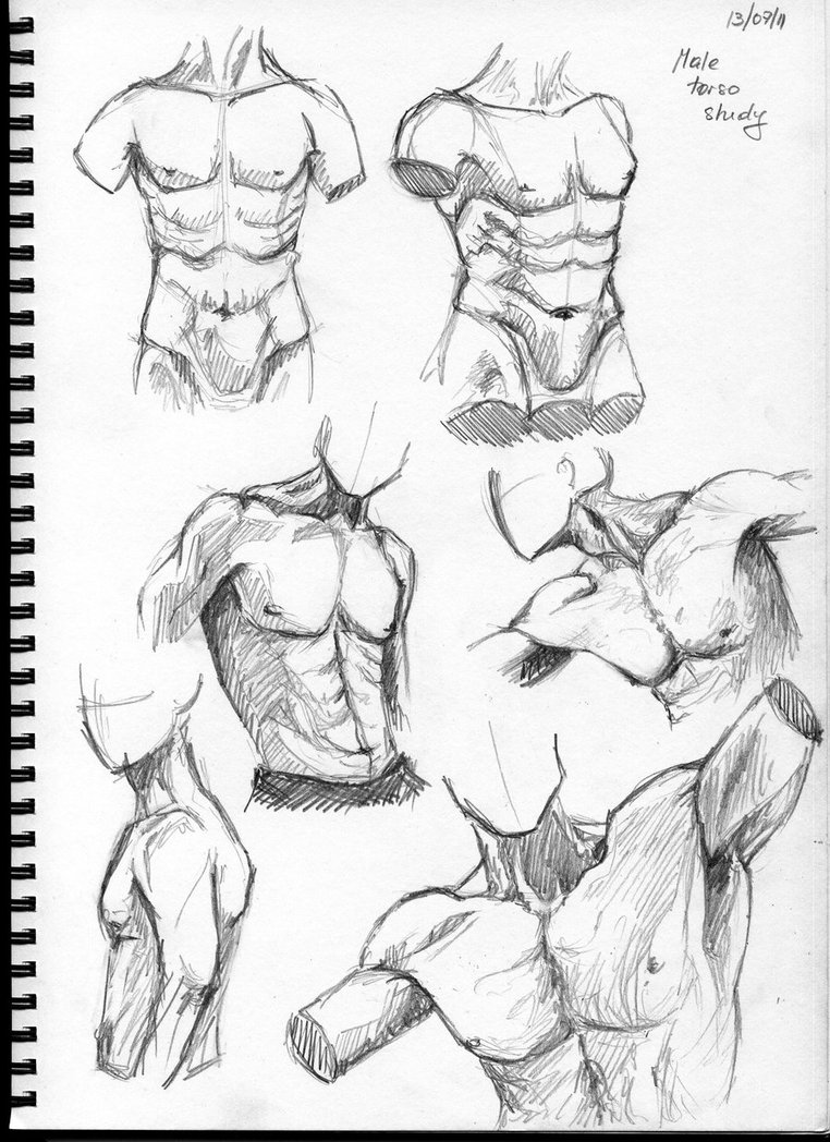 762x1048 Male Torso Study By Thedeathspell