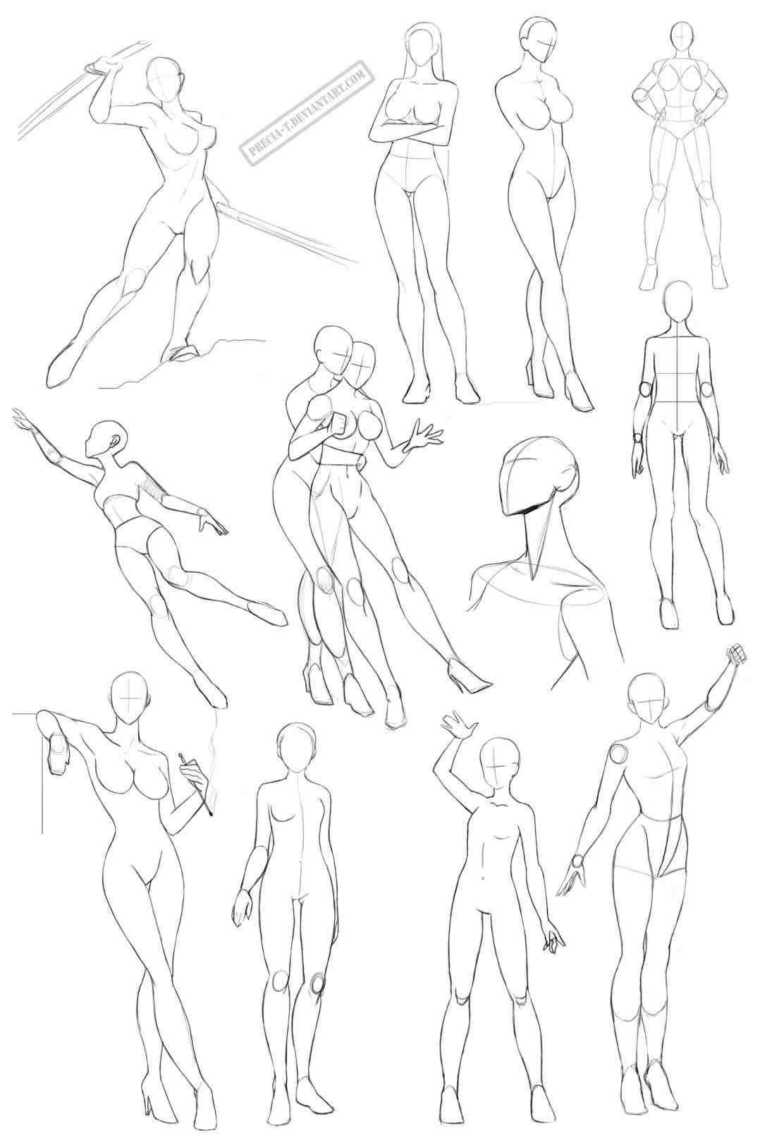 1078x1616 Draw Female Anatomy Body