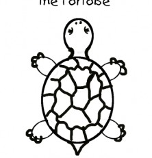222x231 How To Draw A Tortoise For Toddlers. Step By Step Pdf To Teach
