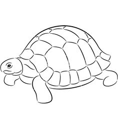 236x248 Image Result For Tortoise Sketch Images Embroidery