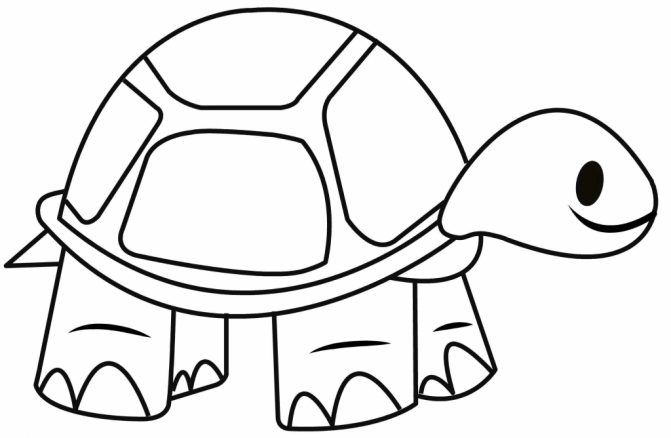 Tortoise Drawing at GetDrawings | Free download