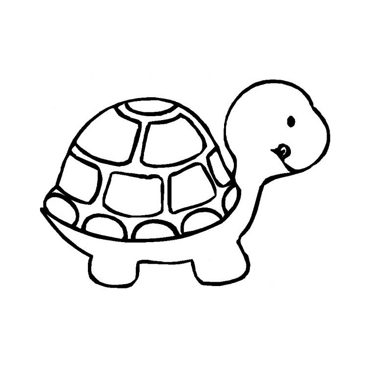 Tortoise Drawing at GetDrawings.com | Free for personal use Tortoise