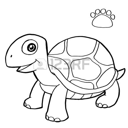 450x450 Tortoise Shell Color Stock Photos. Royalty Free Business Images