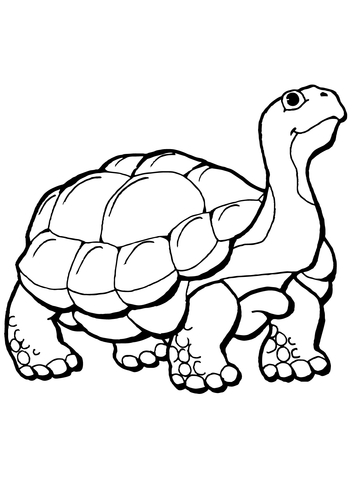 360x480 Tortoise Coloring Page Free Printable Coloring Pages