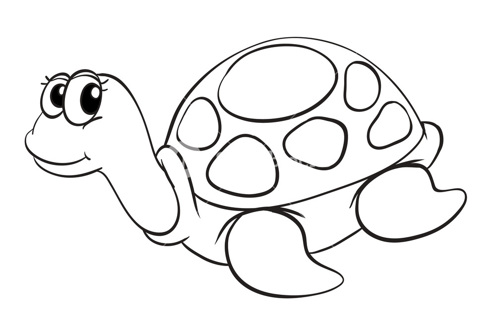 1000x652 Illustration Of A Tortoise Sketch On A White Background Royalty