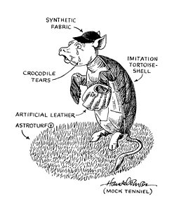 248x300 Tortoise Shell Drawings Fine Art America