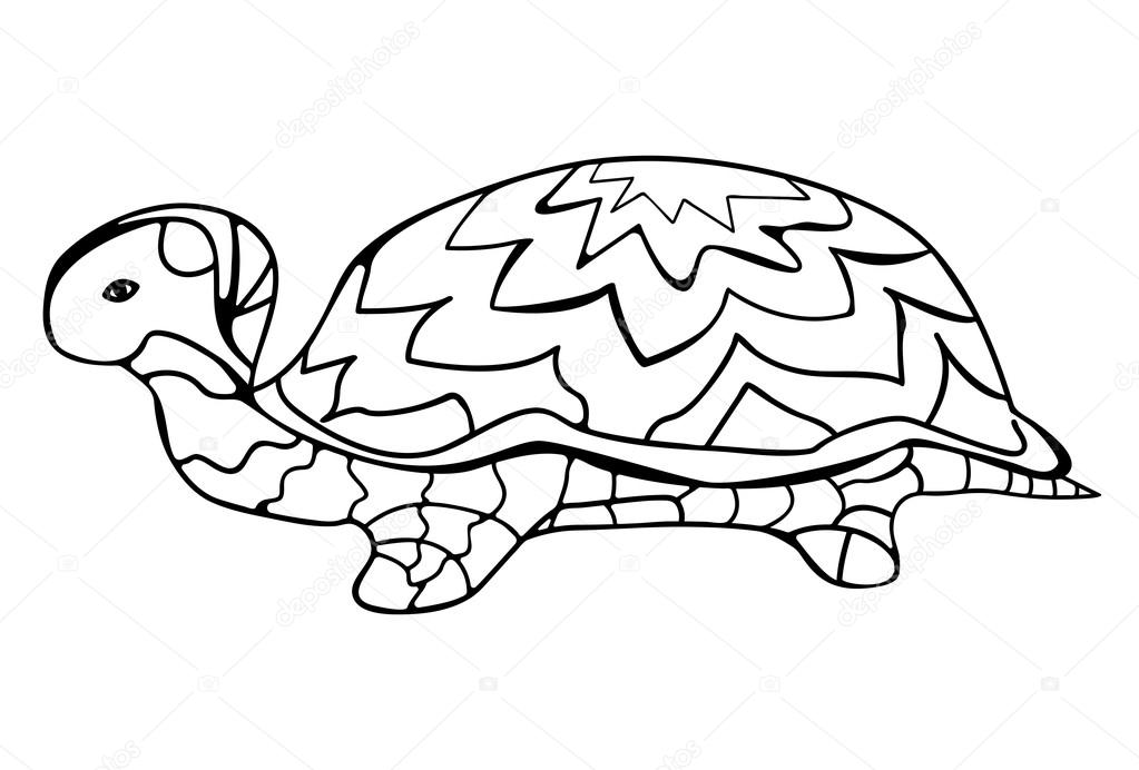 1023x692 Hand Drawn Doodle Of A Turtle Pattern On The Shell Stock Vector