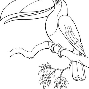 300x300 Online Free Coloring Pages For Kids