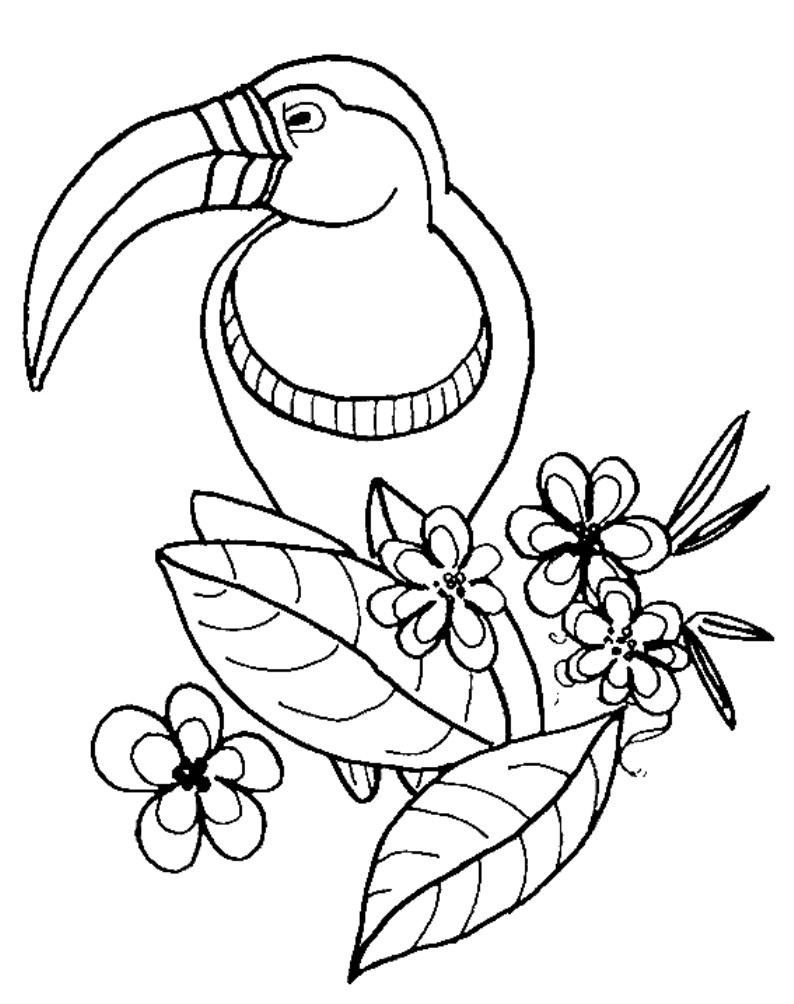 794x1004 Zoo Animal Coloring Pages Toucan Bird