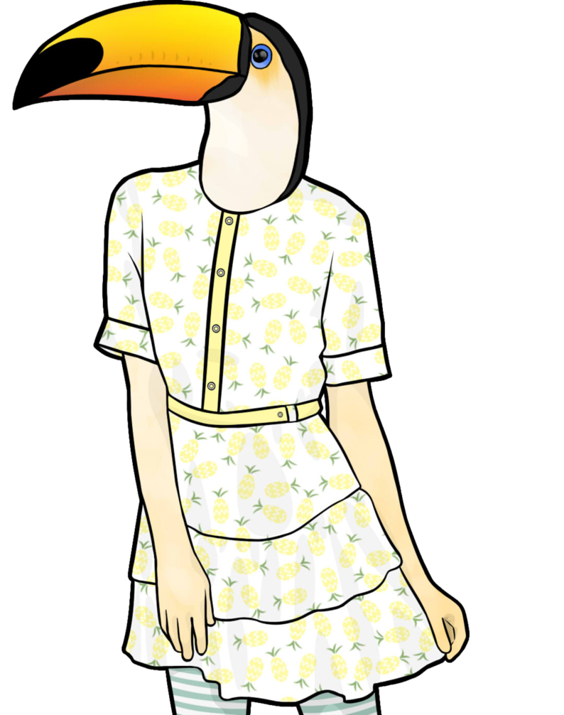 794x1006 Toco Toucan By Chtosmiley