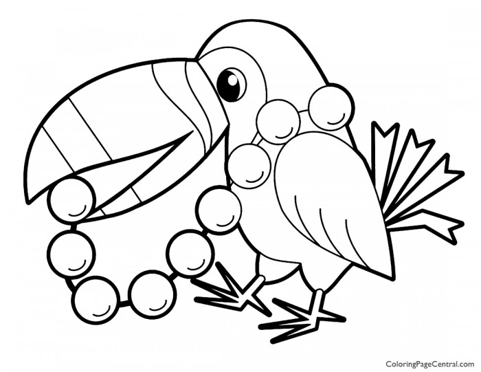 700x541 Toucan 01 Coloring Page Coloring Page Central