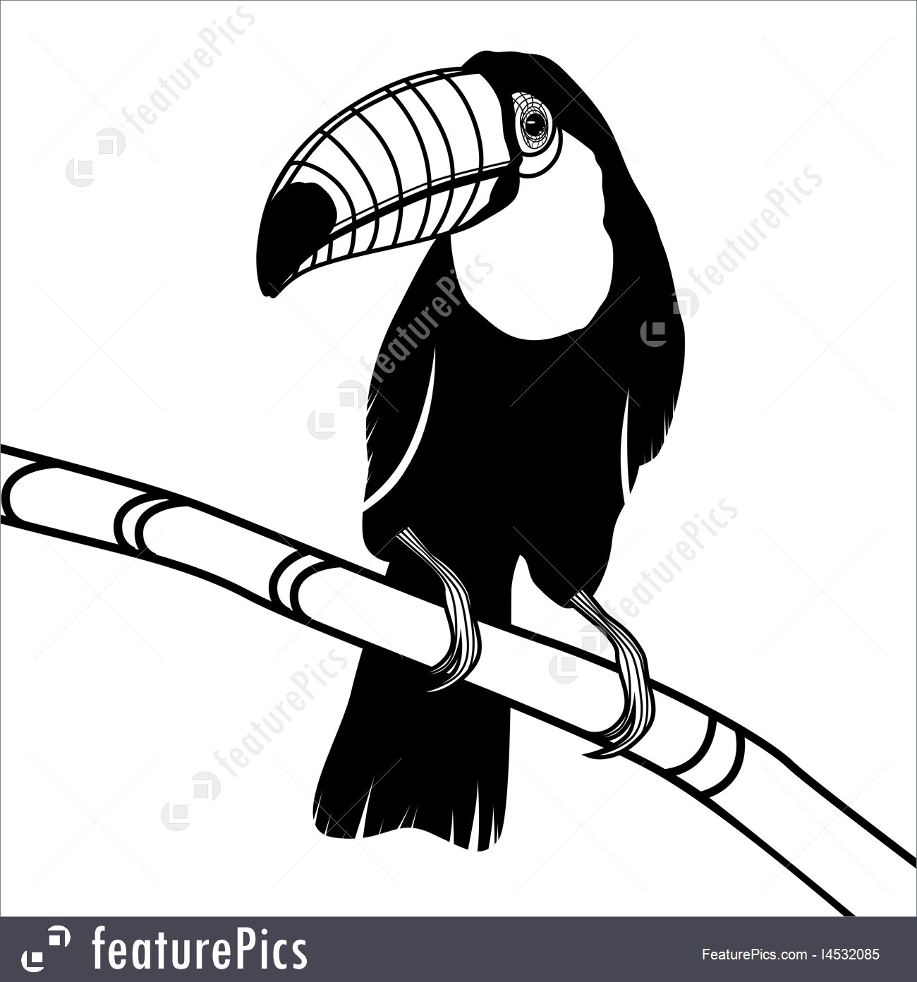 1300x1392 Toucan Bird Head Vector Stock Illustration I4532085