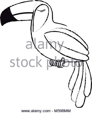 300x371 Toucan Icon, Cartoon Style Stock Vector Art Amp Illustration, Vector