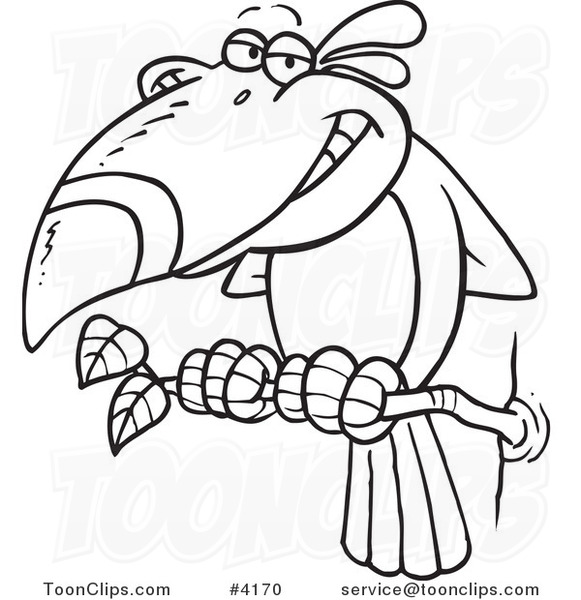 581x600 Cartoon Black And White Line Drawing Of A Toucan Bird