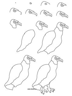 236x314 Learn To Draw A Toucan Kids Drawing Learning