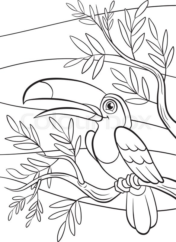 583x800 Cartoon Birds For Kids. Little Cute Toucan Sits On The Tree Branch