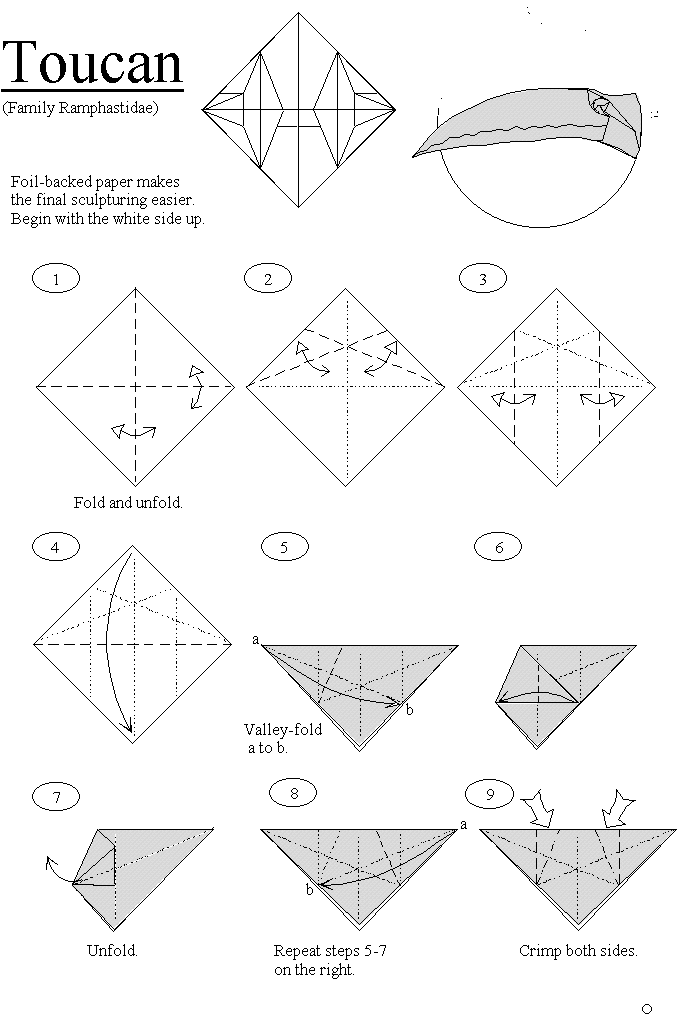 677x1014 Origami Toucan By Hans Birkeland