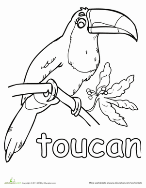 301x389 Toucan Coloring Page Worksheets, Kindergarten And Coloring