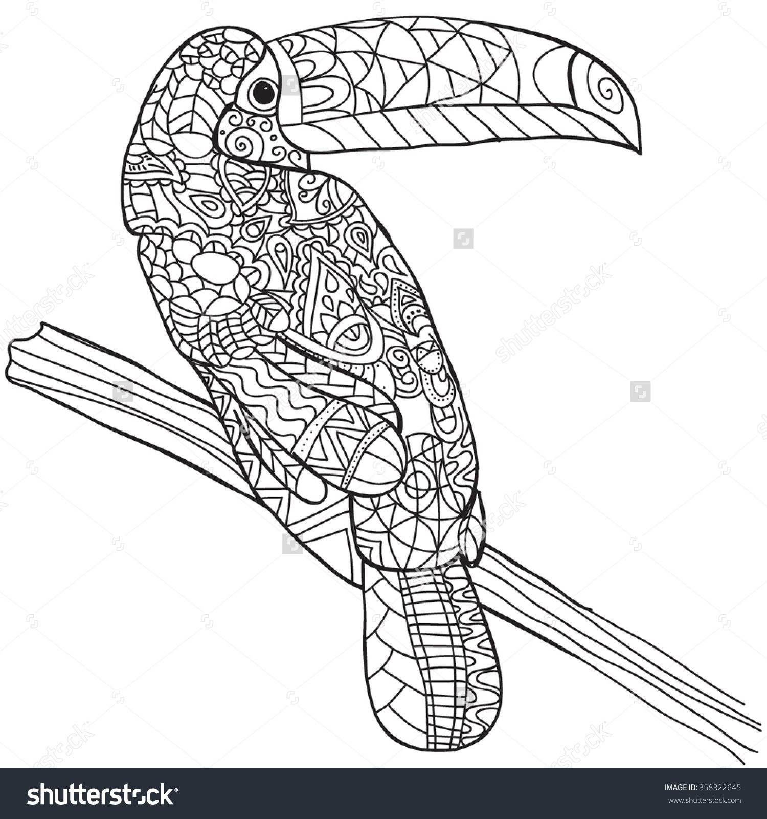 1500x1600 Toucan Clipart Coloring Page