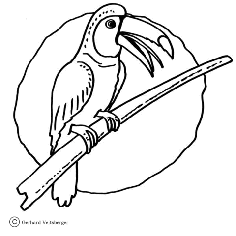 480x480 Toucan Coloring Page Free Printable Coloring Pages