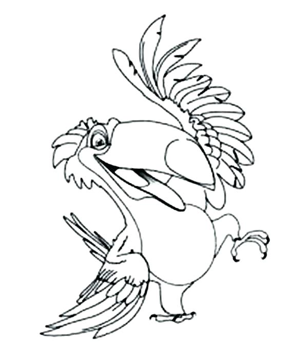 600x686 Top Rated Toucan Coloring Page Images Coloring Page Toucan Exotic