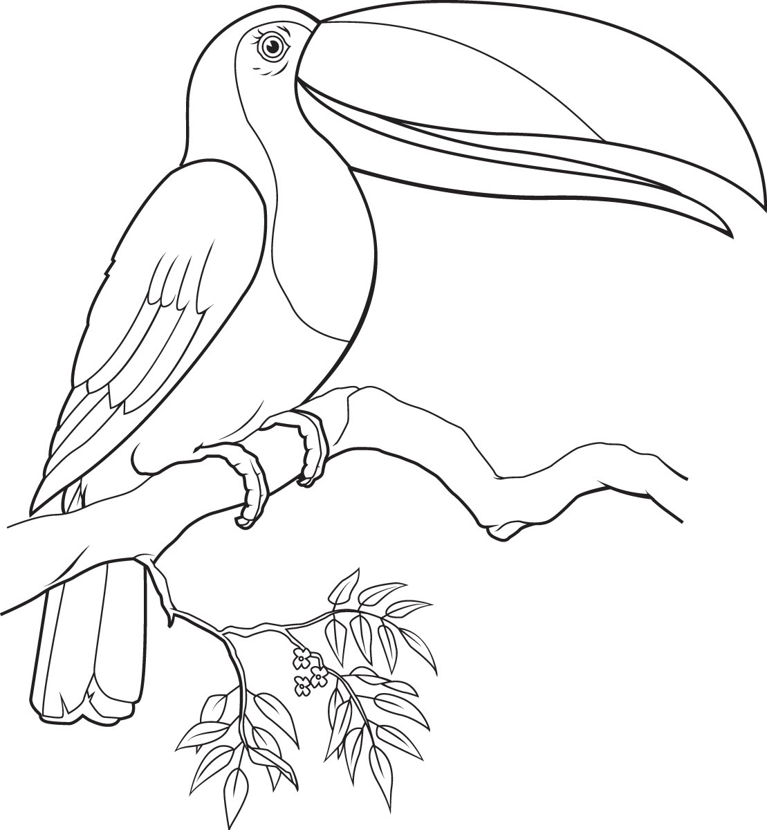 1109x1200 Colouring Pages Of Toucans