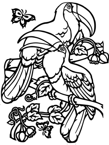 360x480 Two Toucans Coloring Page Coloring Pages Paper