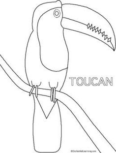 236x311 Red Billed Toucan