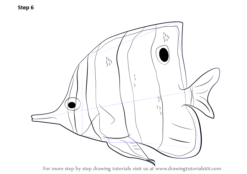 842x596 Learn How To Draw A Butterflyfish (Fishes) Step By Step Drawing