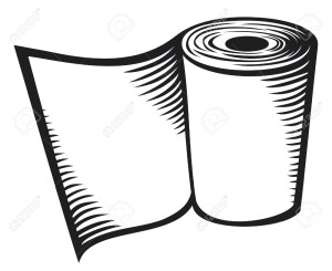 300x245 The Paper Towel Theory