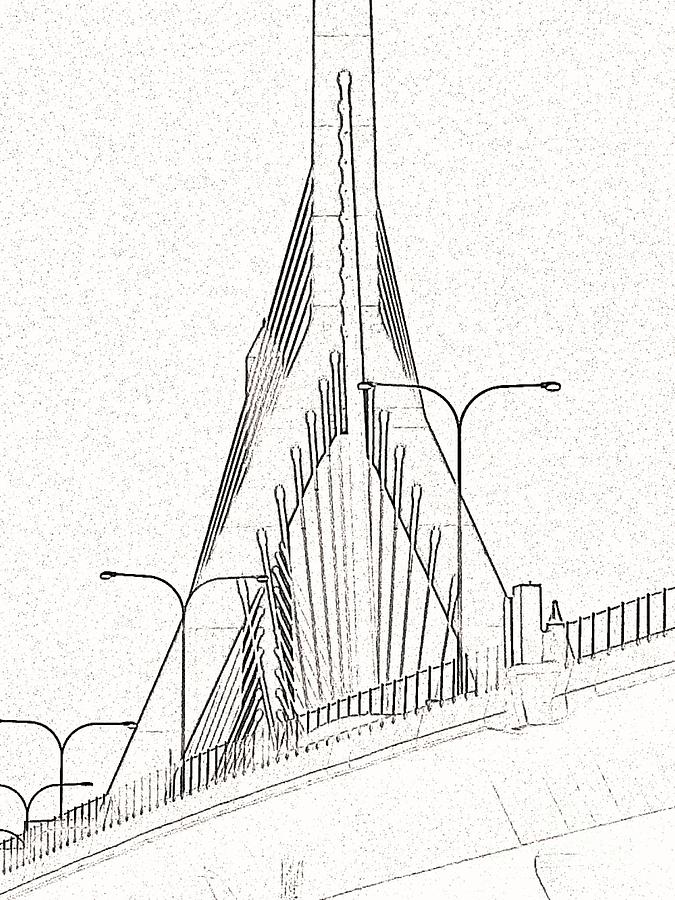 675x900 Line Drawing Zakim Photograph By Stacy Devanney