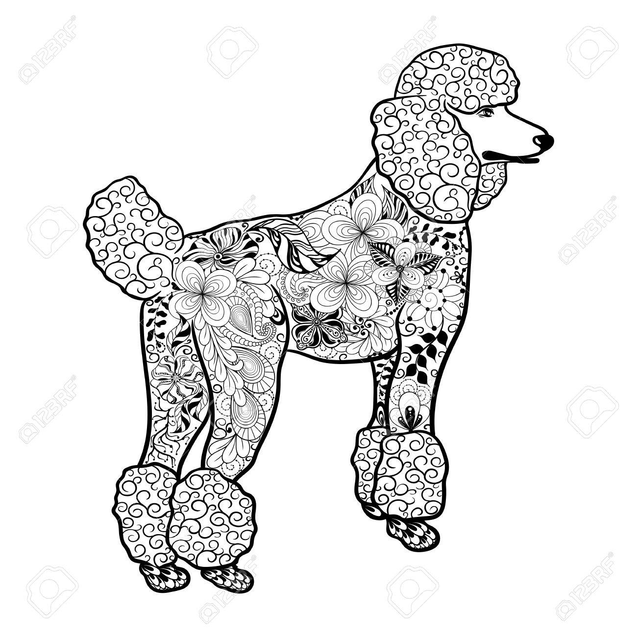 1300x1300 Illustration Poodle Dog Was Created In Doodling Style In Black