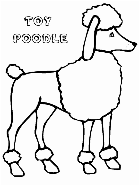 576x764 7 Poodle Template Printable Templatesz234