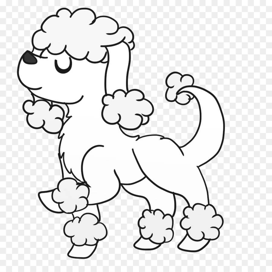 900x900 Standard Poodle Toy Poodle Siberian Husky Labrador Retriever