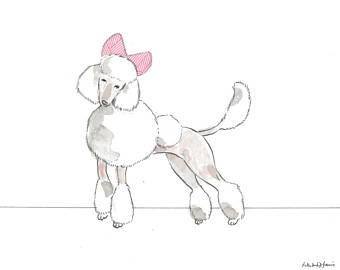 340x270 Standard Poodle Art Etsy