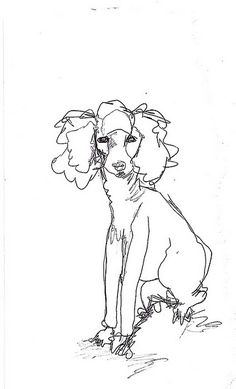 236x389 How To Draw A Poodle Fun Drawing Lessons For Kids Amp Adults Je