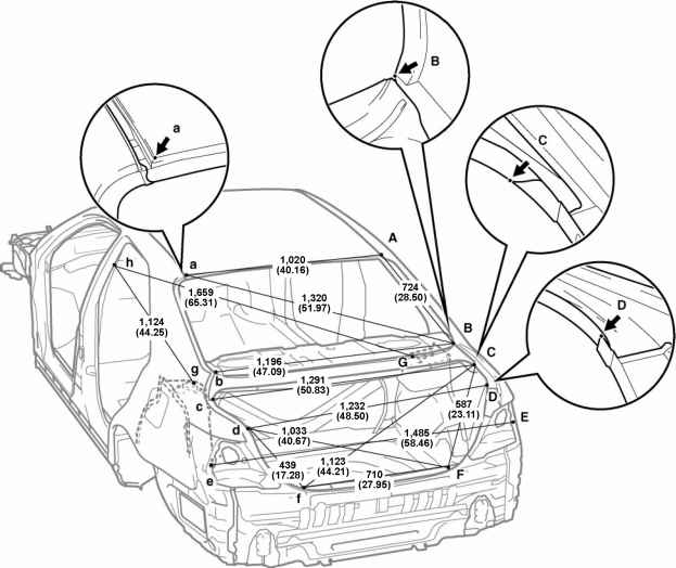 623x524 Body Dimension Drawings