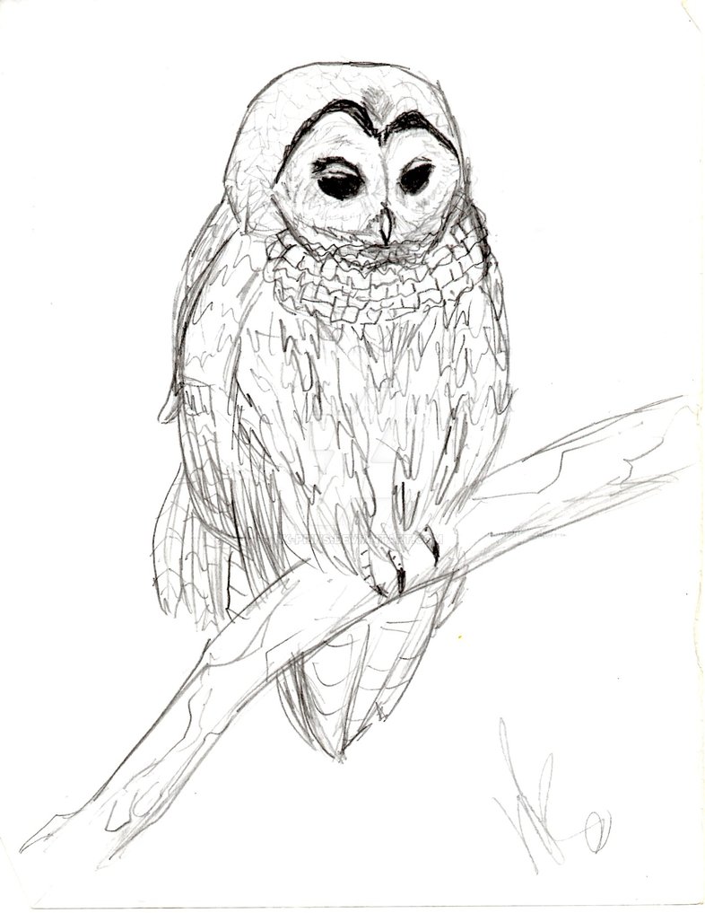 786x1017 Nk Prins (Nicolle Cano Prins)