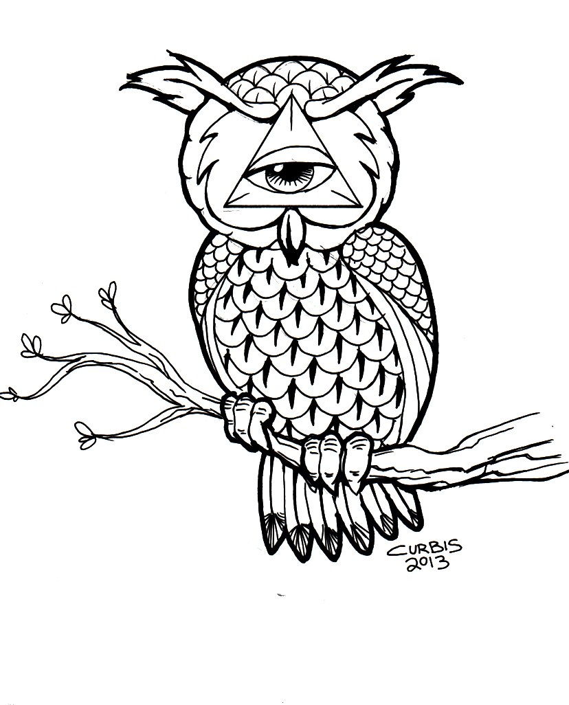 828x1026 All Knowing Owl By Biomek