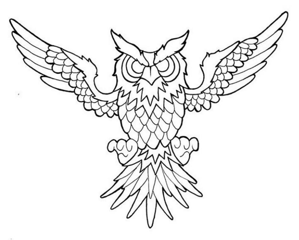 960x771 American Traditional Owl (Colour Free) By Isaiahbrannon