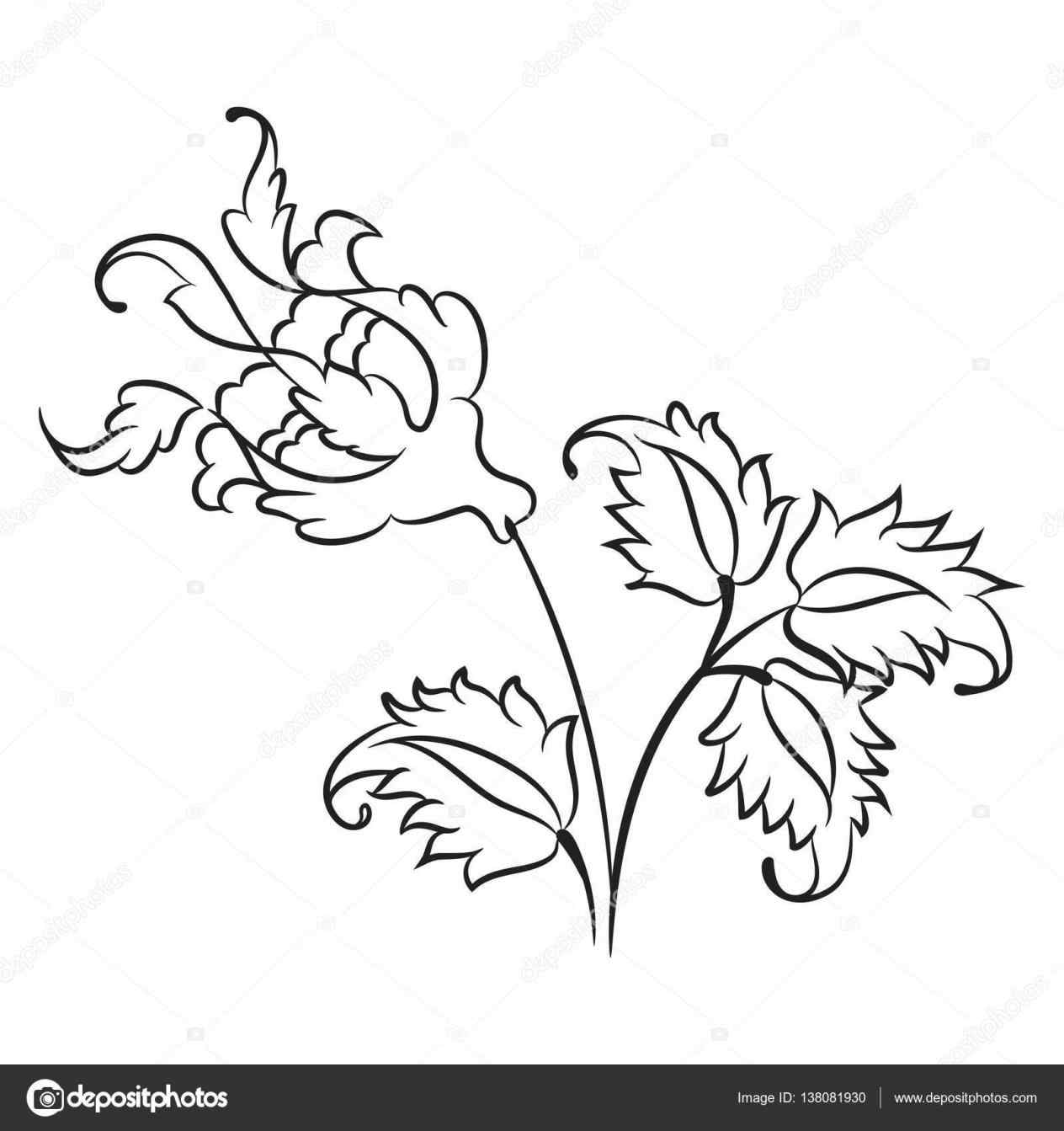 1264x1343 On Vector Traditional Rose Line Drawing The Crocodile