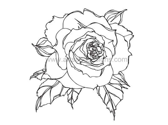 538x400 Romantic Rose Digital Stamp