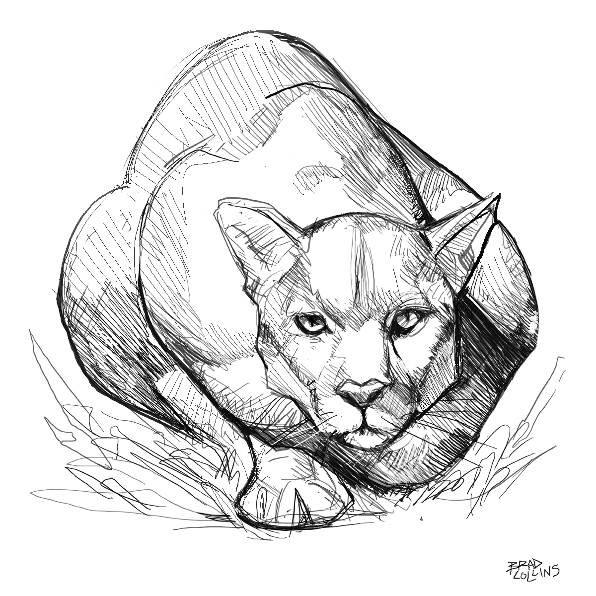 1200x1200 Adventure Trail Running 04 Brad Collins Art Amp Illustration