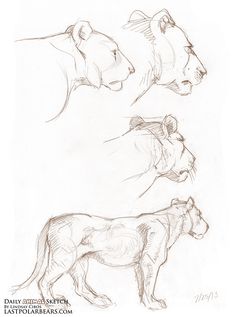 236x317 Giraffe Drawing F ck Yes! Giraffe Drawing