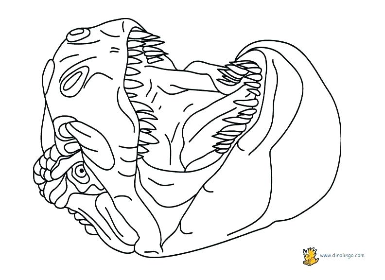 792x576 Dinosaur Picture To Color Dinosaur Coloring Pages Different Types