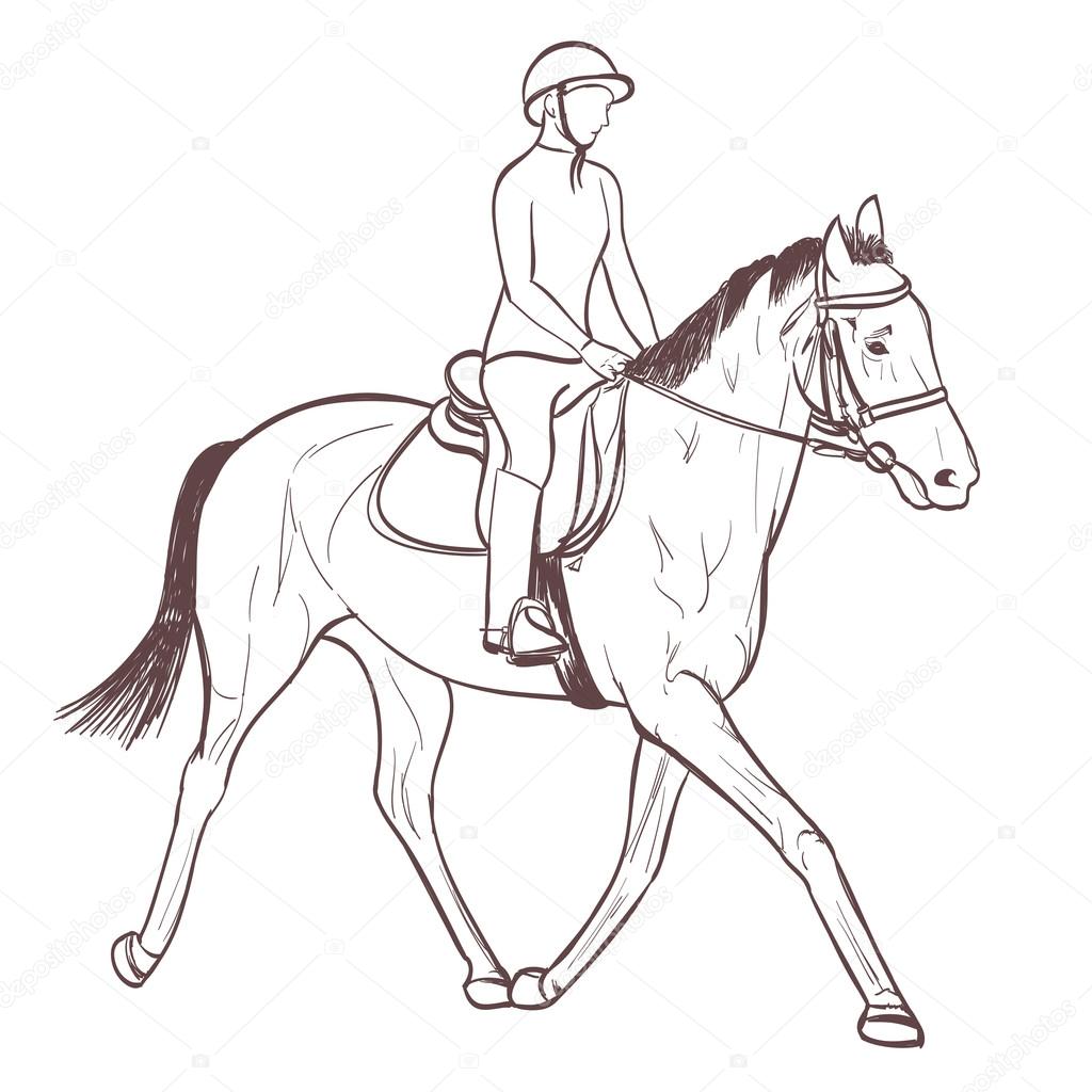 1024x1024 A Horse Rider Drawing. Equestrian Sport Training Line Art Vector