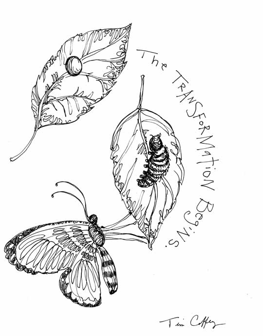 Transformation Drawing