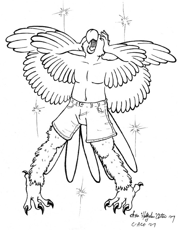 607x784 Parrot Transformation By Hollyann