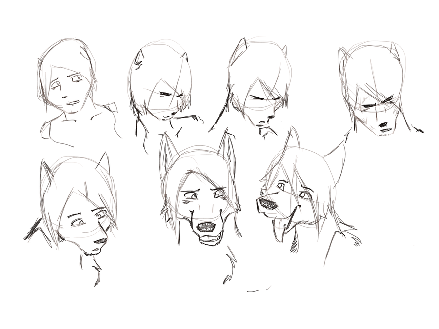 900x675 Wolf Transformation Sketches 2 By Kitsume The Wolf